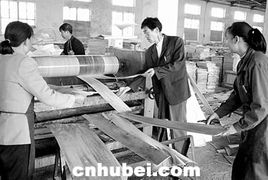 掙錢(qián)回家開(kāi)公司